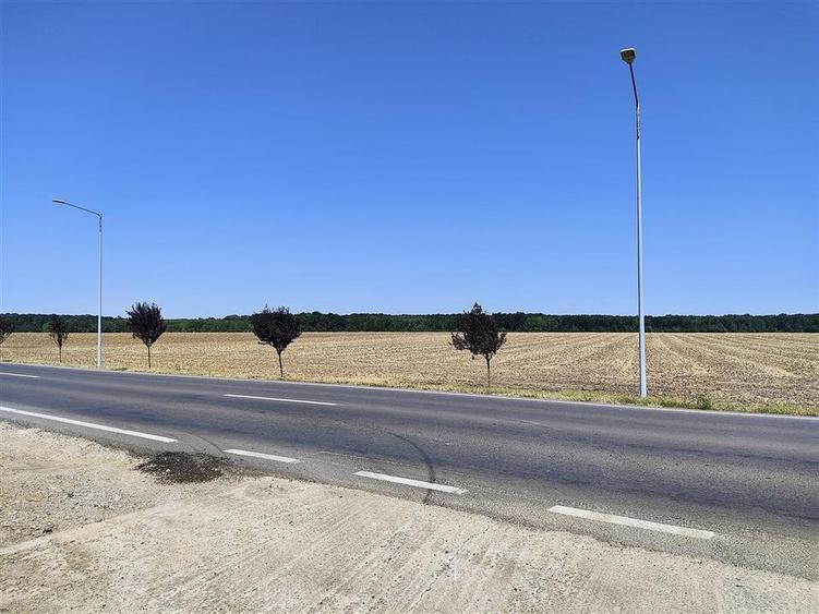 vanzare teren intravilan  construibil BRANESTI | deschidere la DN 3 | 3750mp | u - 4