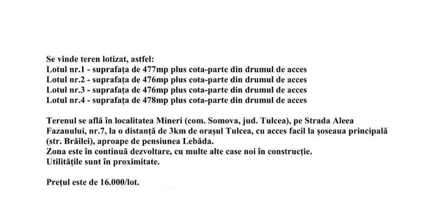 TEREN MINERI -LOTIZAT - 3
