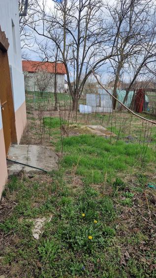 Vand casa caramida pe colt in Satchinez - 5