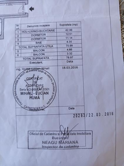 Titan aleea Ninsorii - 10