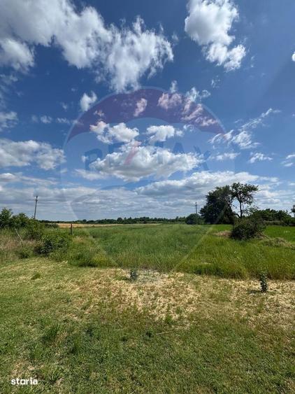 Teren Ferbinti Targ - 4.000 Mp - 2