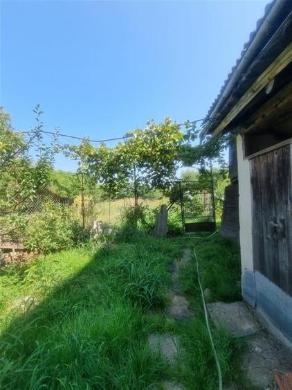 CASA DE VANZARE IN SERCAITA - 22