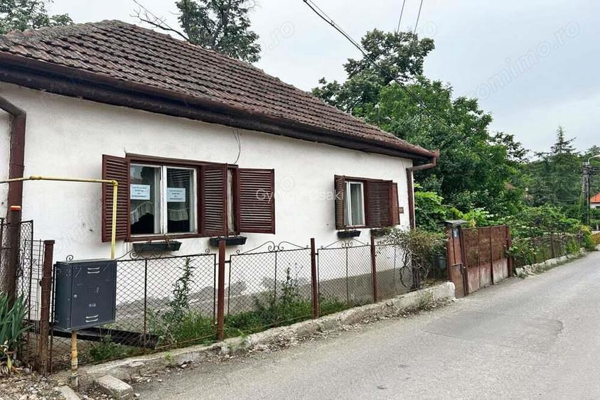 Casa singur in curte - Str. Izvorului - IMOBIHOR Casa singur in curte - Str. Izvorului - IMOBIHOR