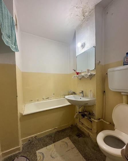 VIGAFON - Apartament 2 camere Nord-Cameliei - 4