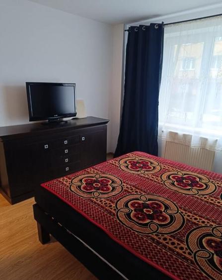 Apartament 3 camere parter Ion Slavici - 9