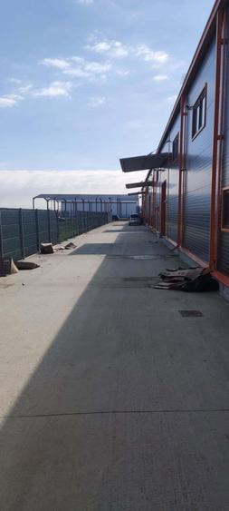 2 hale noi Voluntari -Afumati Doraly - 8