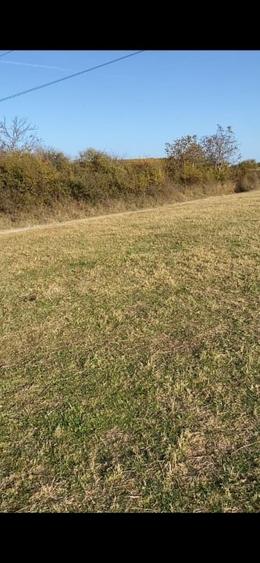 O oportunitate care îți atinge sufletul: Teren de vis la ieșirea din Rășinari - 8