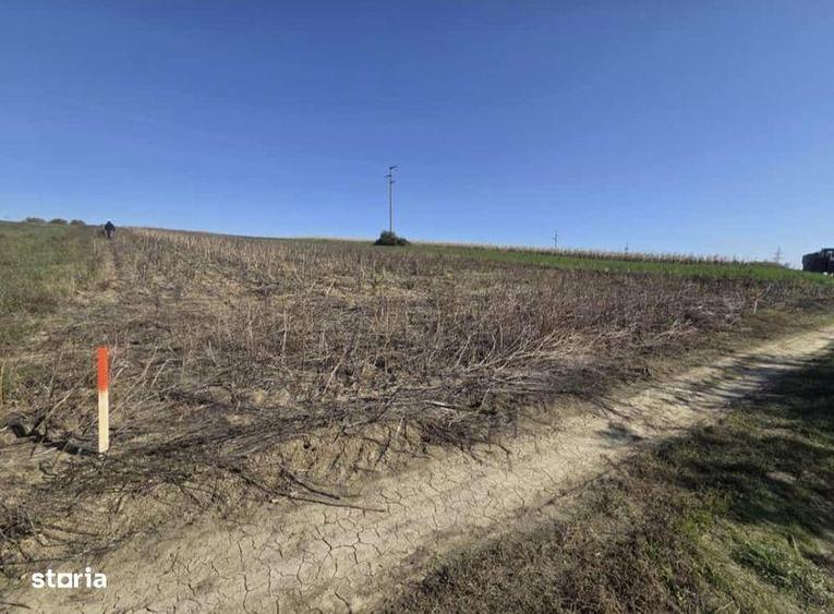 Teren Intravilan 5000mp, Catamaresti-Deal, Botosani. - 2