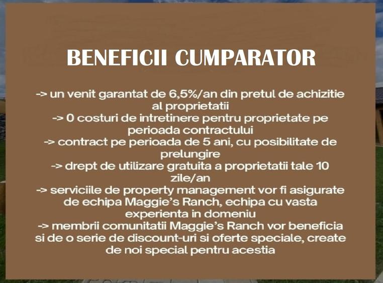 Apartamente de Vacanta - Rasnov Brasov - 16