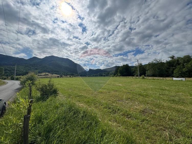 Teren de vanzare  Intravilan 19.341 mp - Cheile Rasnoavei, Parcelabil - 14