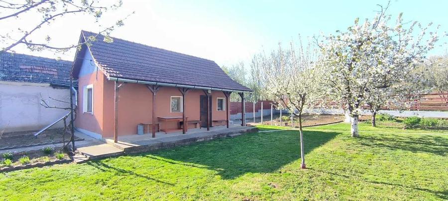 Vand Casa de vacanta - 1