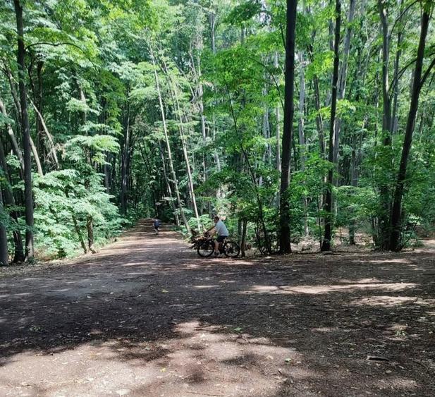 Vanzare apartament cu 3 camere 90 mp utili, în Residenz, Cartierul German! - 25