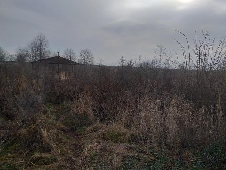 Loc de casa in Catamarasti Deal zona RAR - 1