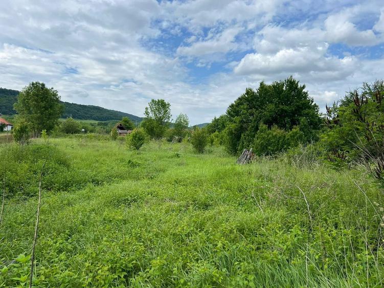 Vand Casa in Revetis, judetul Arad, teren 2880 mp, fantanta + curent - 3