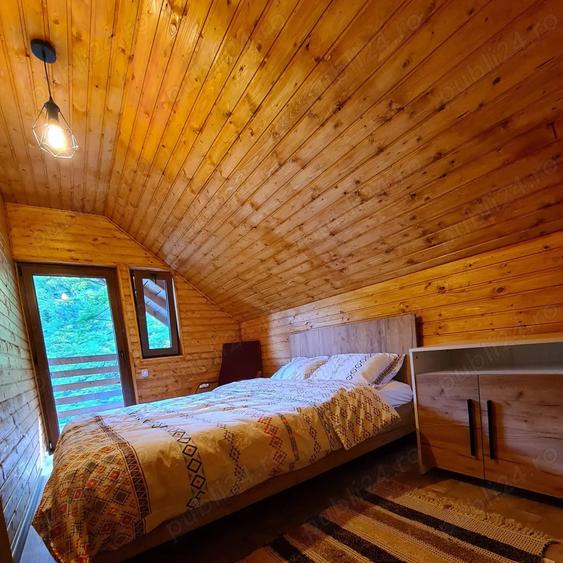 Vand Cabana cu ciubar (Fenes jud Alba) - 3