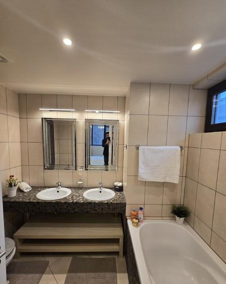 Apartament 3 camere Iancu Nicolae, padure, mobilat, utilat - 16