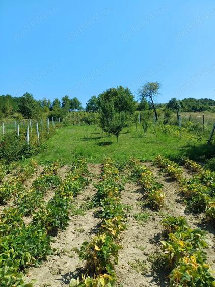 Vand casa cu teren - 12