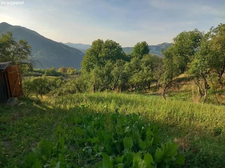 Casa batraneaca de vanzare - 1