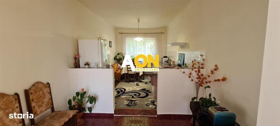 Casa 4 camere si 450 mp teren ultracentral - 5