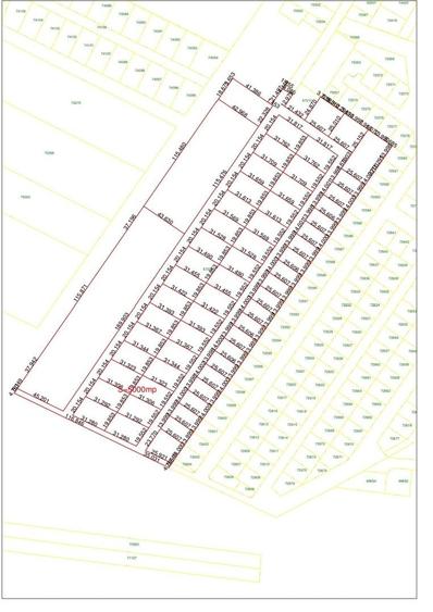 Parcele 640 mp Cihei - 1