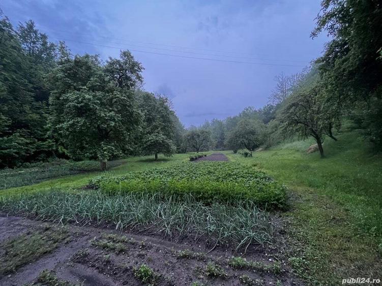 Casa de vanzare cu peste un hectar de teren - 6