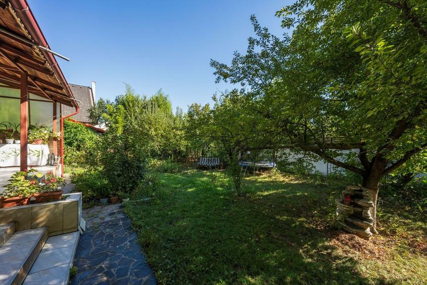 PROPRIETATE UNICA: 1.618 MP TEREN  IN PIPERA, CU VILA SOLIDA SI GRADINA SUPERBA - 38