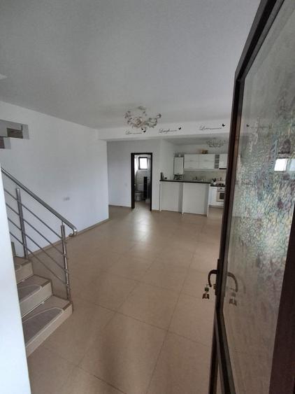 CASA LA CHEIE ! GATA DE MUTARE - 4