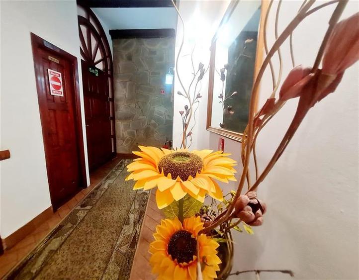 Preluare afacere pensiune administrare in regim turistic, Centrul Istoric - 14