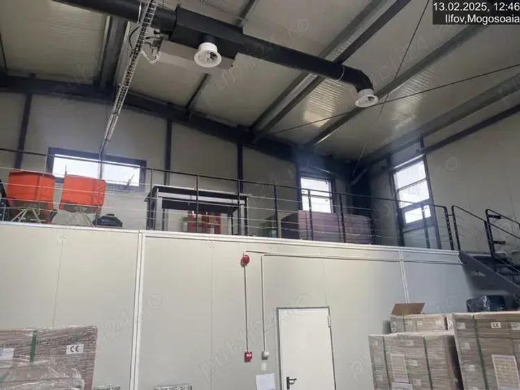 600mp Hala spatiu de depozitare productie + rafturi. Centura Bucuresti - direct proprietar - 4