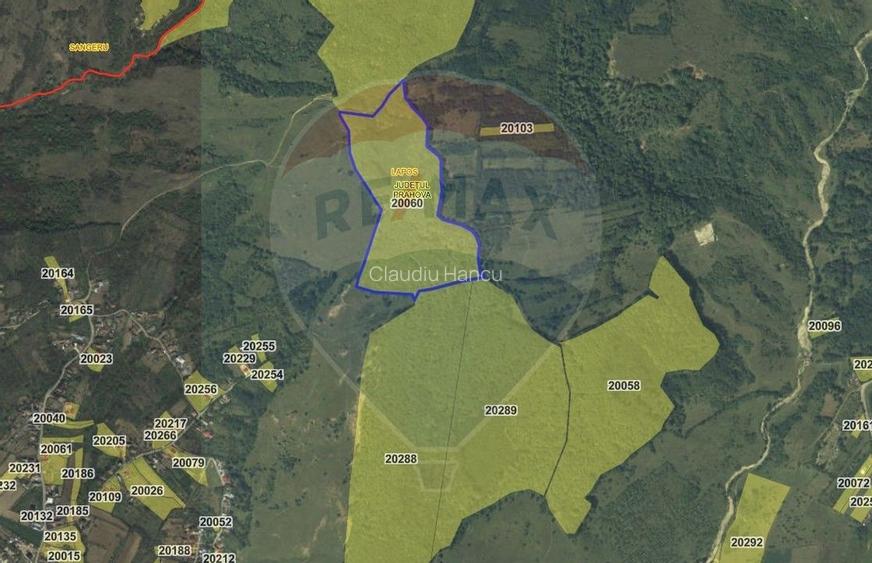 Padure de vanzare - oportunitate de investitie Prahova Padure de vanzare - oportunitate de investitie Prahova