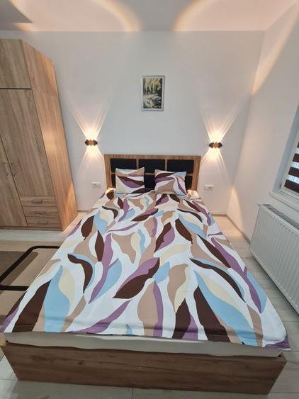 Apartament 1 camera de inchiriat - 4