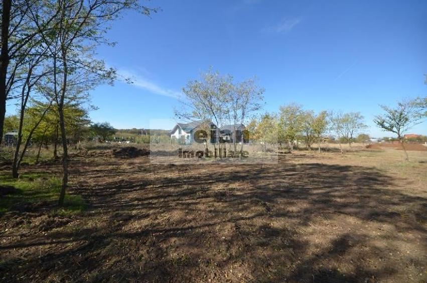 Snagov Ciofliceni Mânastire- Teren 1432 Mp, D 60 M, Curent Gaze Asfalt - 9