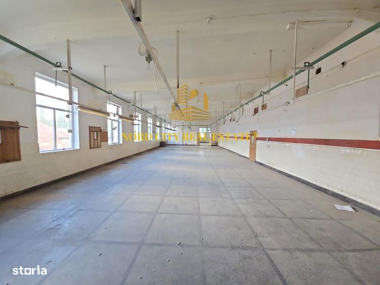 Platforma Industriala-8 ha -Fabrica-Hale Productie-21.500 mp - 3