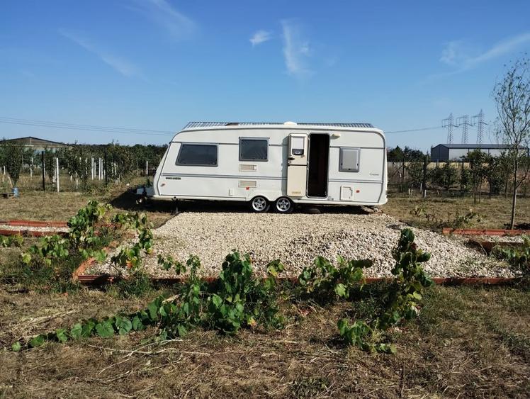 Tartasesti, Dambovita - 11