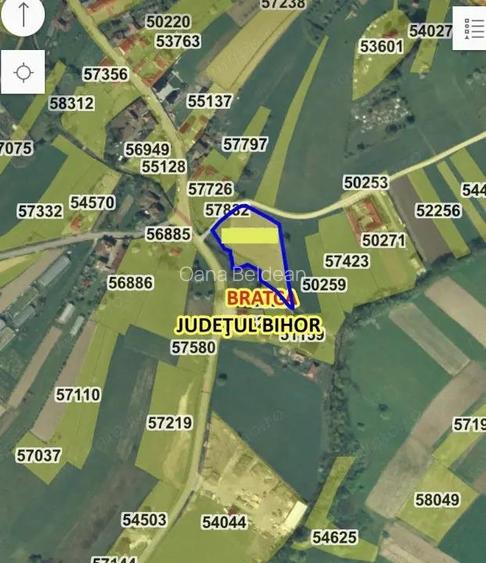 Teren intravilan 3.749 mp Beznea, com. Bratca, jud. Bihor