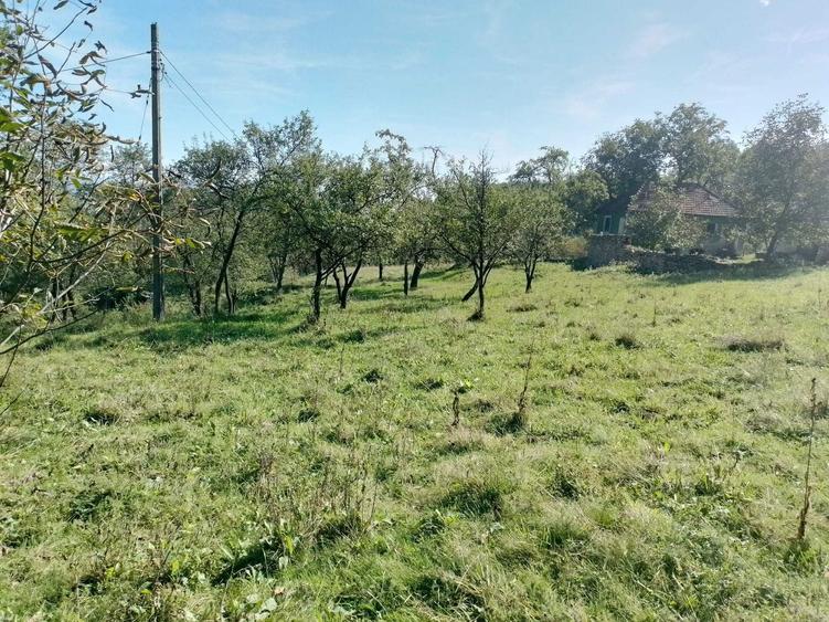 1,5 ha cu 2 case vechi, livada si izvor langa Via Transilvanica - 3