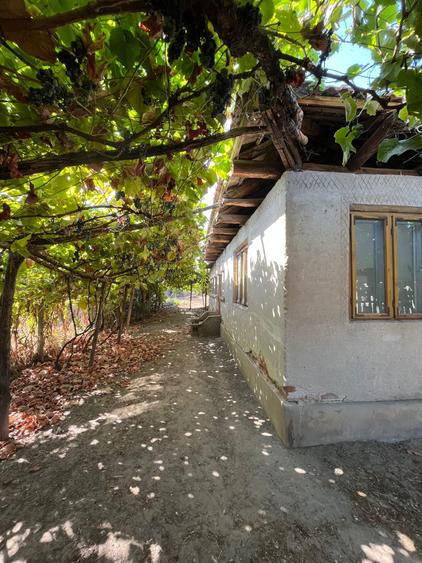 Vand casa din caramida com. Rogova, jud. Mh - 1