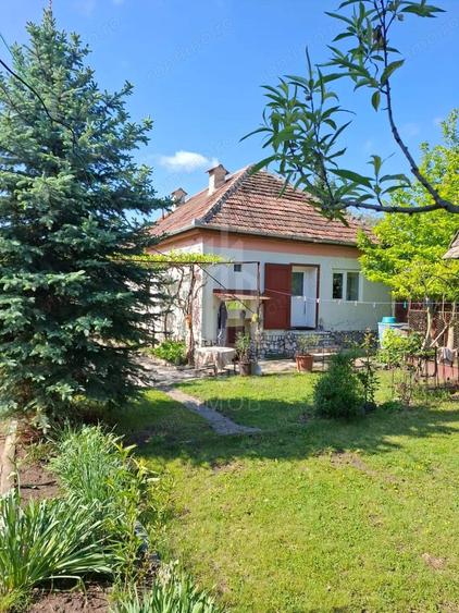 Casa cu doua corpuri de cladire ?i teren generos sat Boarta, jude?ul Sibiu - 16