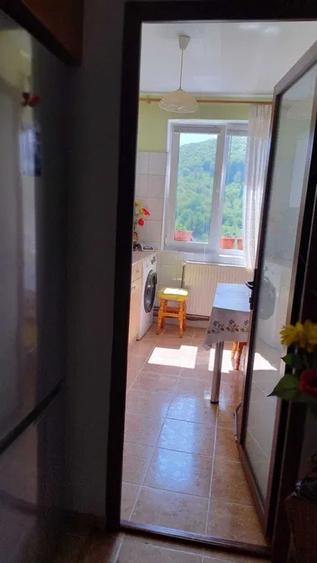 Apartament 3 camere Noua - 2