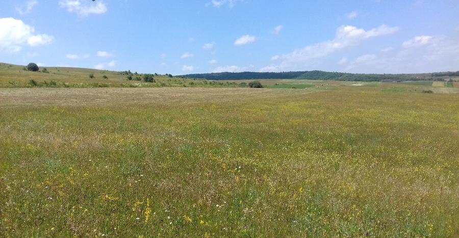 Vand teren intre Popesti si Corusu(jud. Cluj),in apropierea padurii - 8