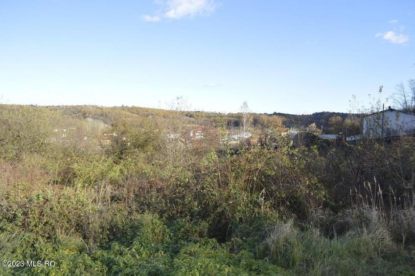 Babana - Centru - Primarie, Teren intravilan 13742 mp! - 8