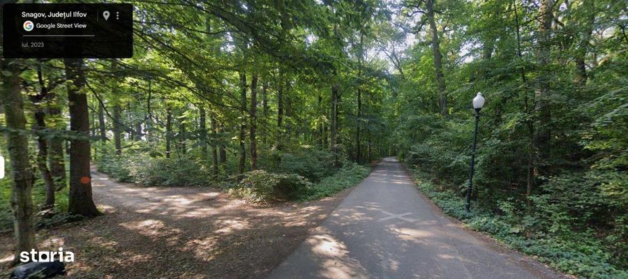 Teren de Vis pe malul lacului Snagov / 4000 mp in inima Naturii /40 m - 7