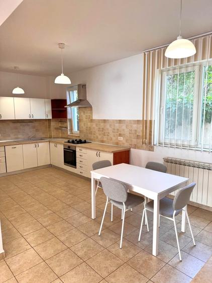 Vila cu piscina Iancu Nicolae - 6