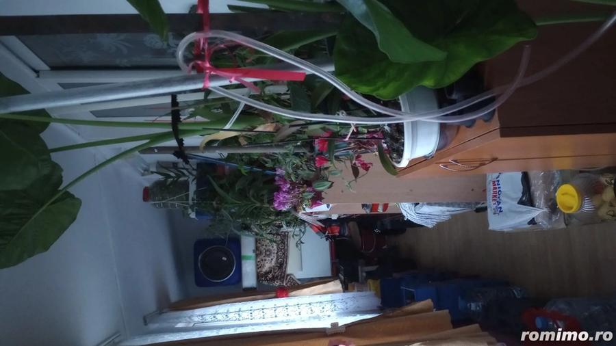 Vand Ap.cf.1 dec. 2 camere - 2