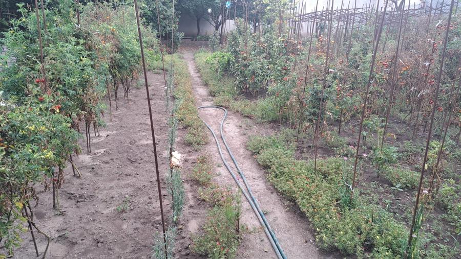 Stadion - scoala sportiva - teren 828 mp / 13.2 deschidere stradala - 7