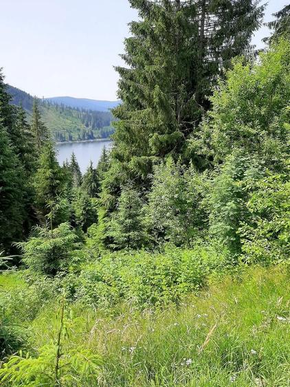 Vand Teren Belis aproape de lac - 2