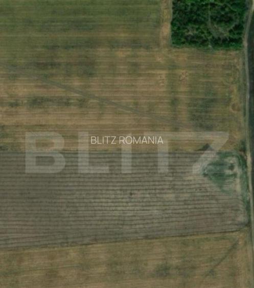Teren extravilan, zona Carcea, cu o suprafata de 12218 mp