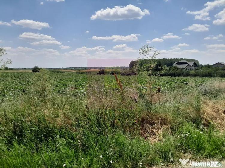 Teren în Teișori