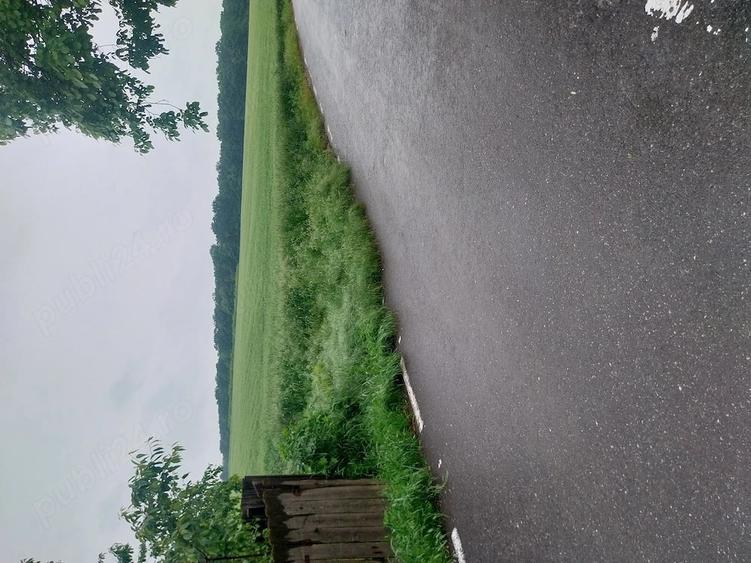 Teren de 4500 mp, în Berești