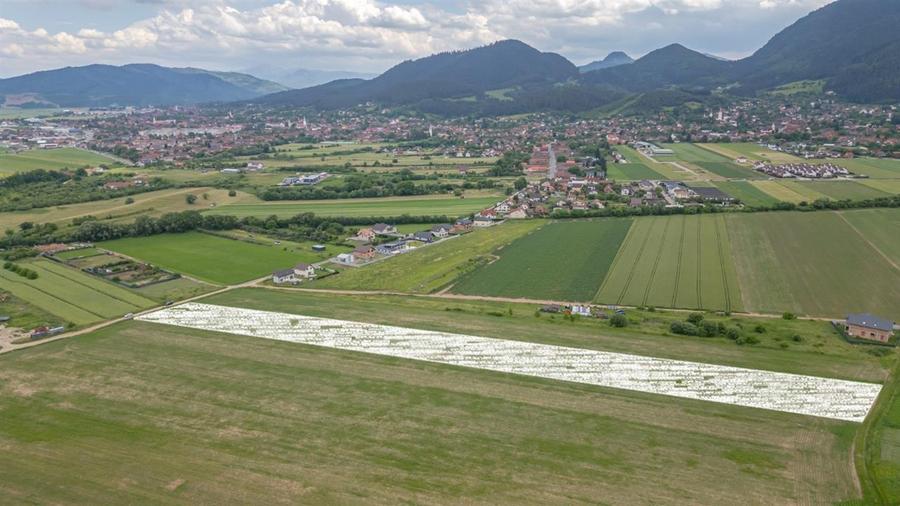 Teren agricol extravilan de 400 mp, în Turcheș